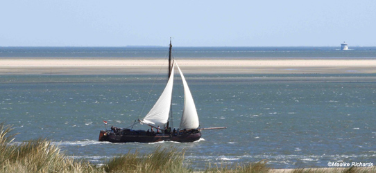 waddenzee zeilen